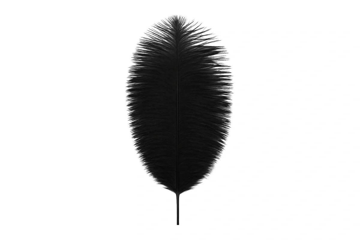Black Colour - Ostrich Feather Topper - Cake Decoration (1 Pack) - My Dream Cake