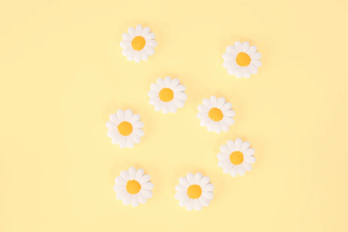 Daisy Icing Decorations (8 Pack) - Sprinks - Image 3