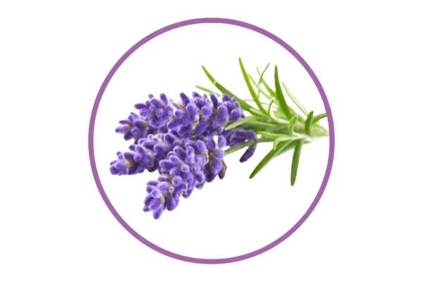 Lavender Natural Flavoured Essence 30ml - Roberts Edible Craft - Image 2