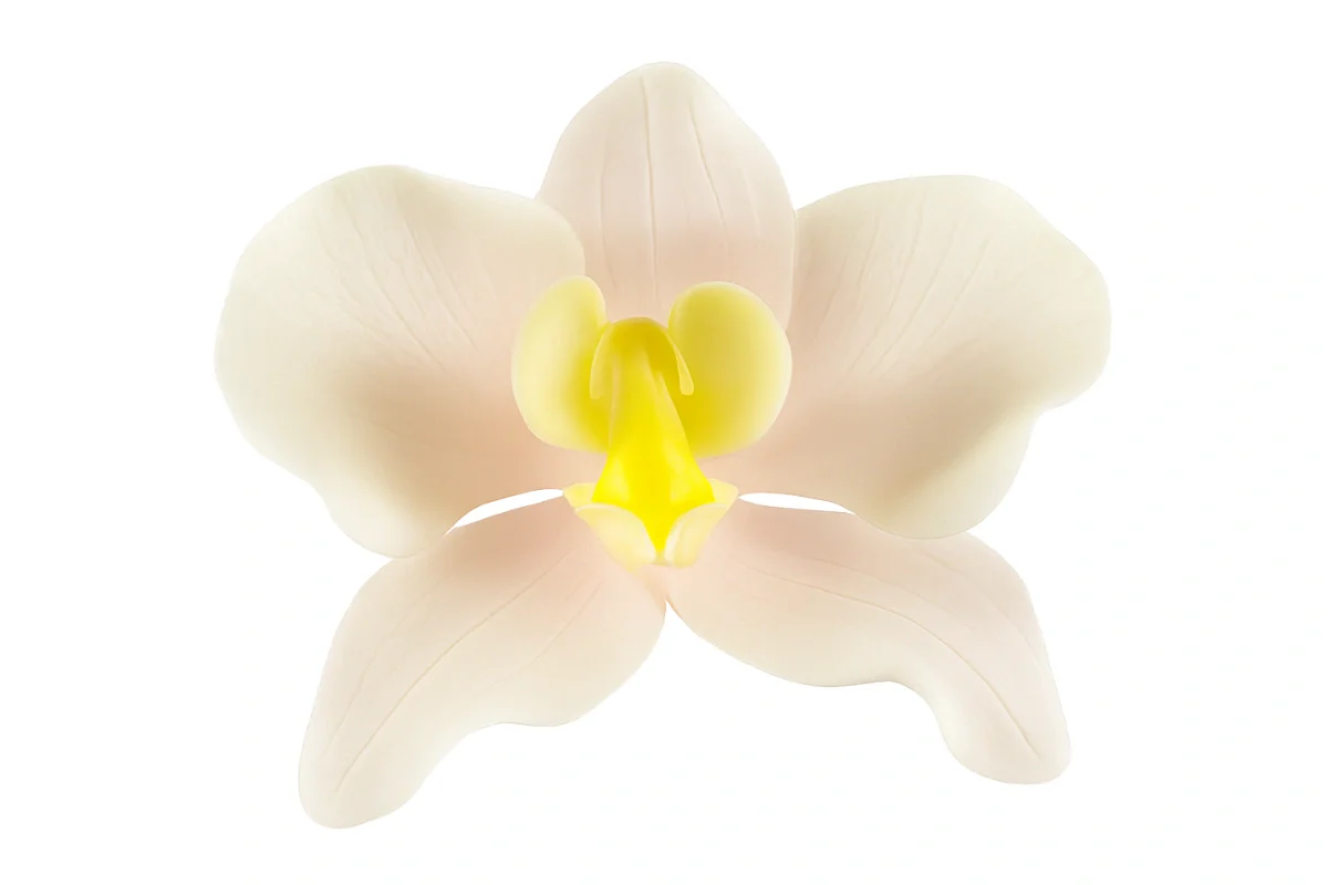 Pink Phalaenopsis Orchid Large - Sweet Sugar Flowers