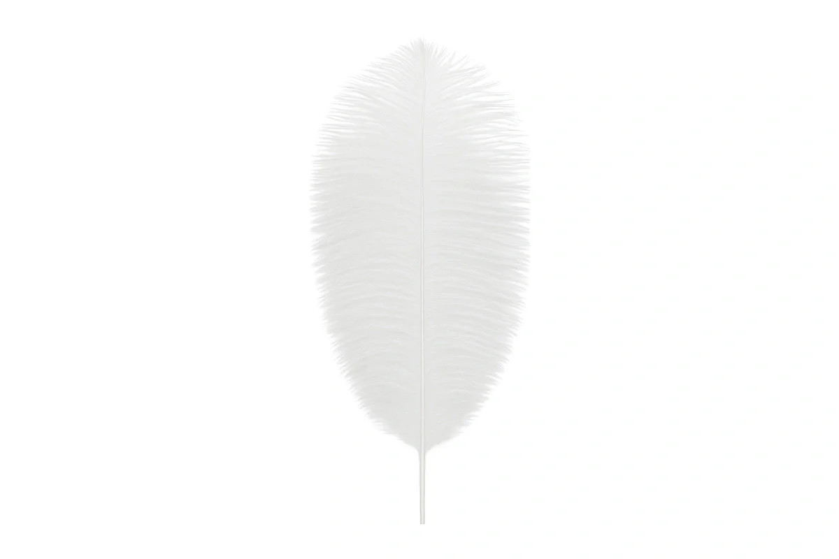 White Colour - Ostrich Feather Topper - Cake Decoration (1 Pack) - My Dream Cake