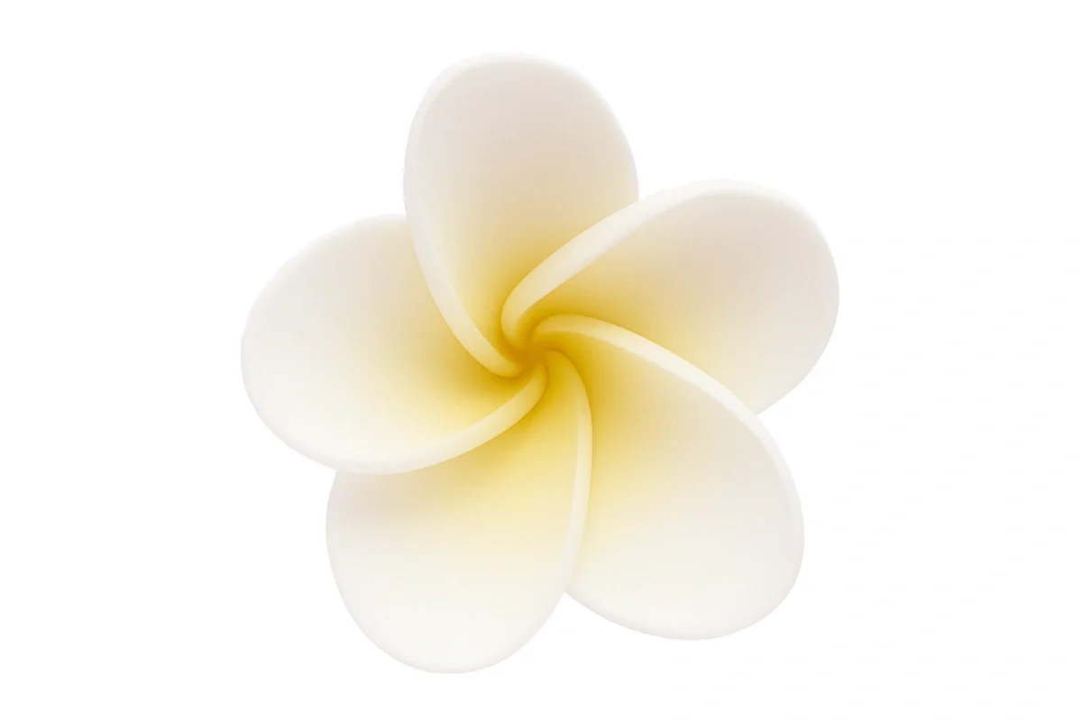 Yellow Single Large Centre Frangipani 5cm - Sweet Sugar Flowers
